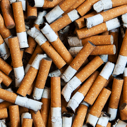 Cigarette Butts