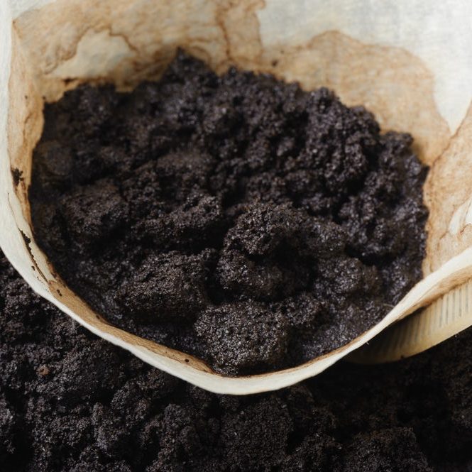 Coffee Grounds and Paper Filters