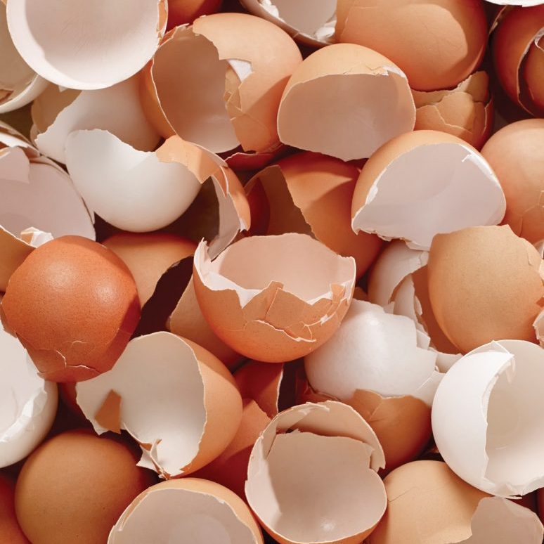 Eggshells