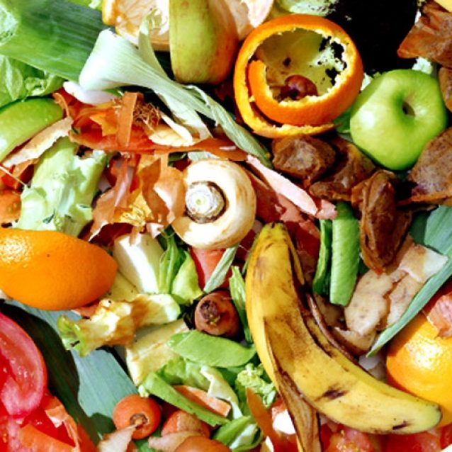 Fruit and Vegetable Scraps - YAY